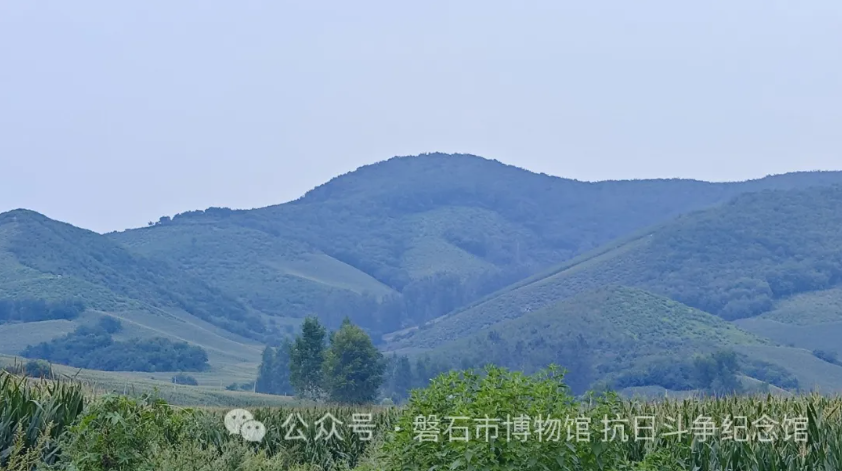 fe4ce75251658a3264c26e8079e3463.png