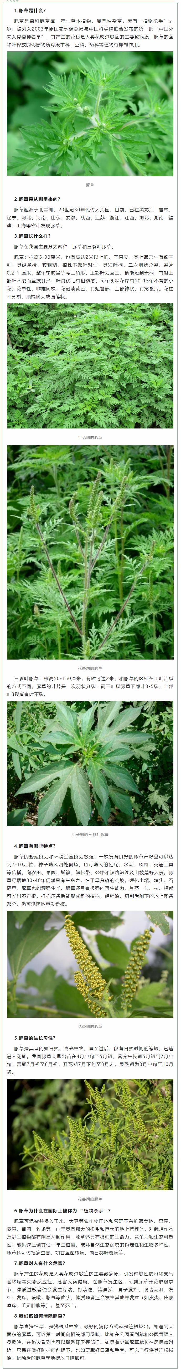 鍥剧墖1.jpg